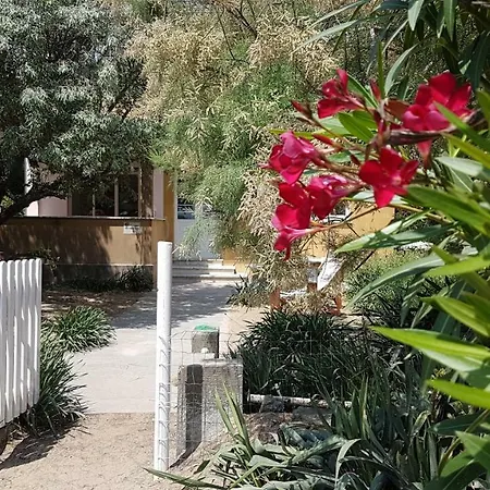 Picchetti Fronte Mare Villa